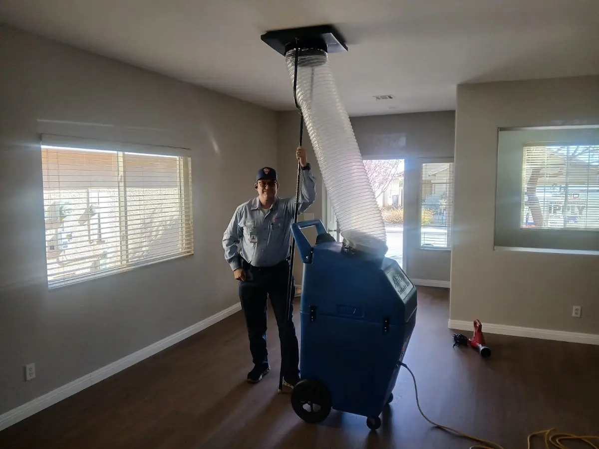Professional Dryer Vent Cleaning work inside a Essex home
